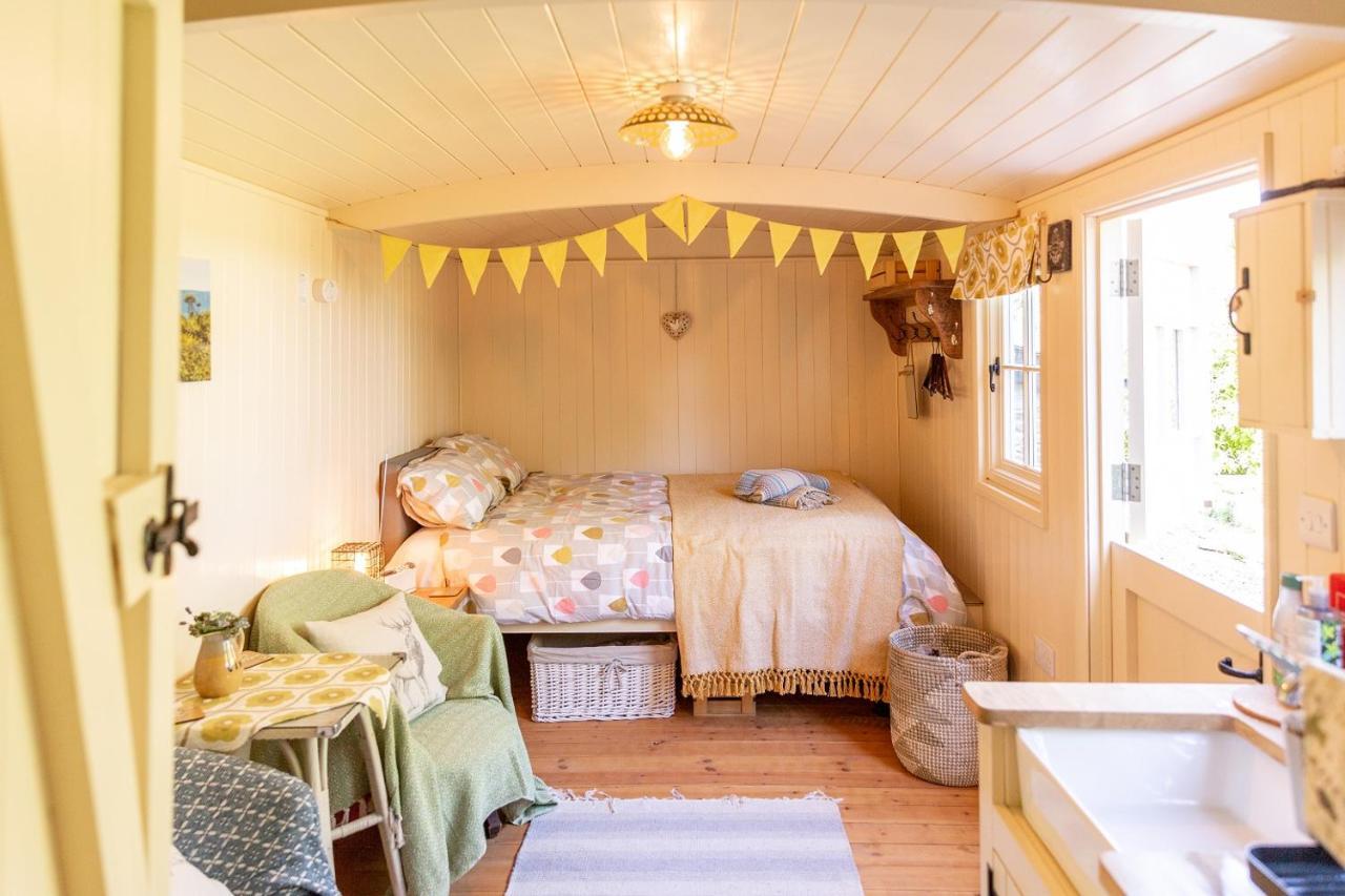 Bed and Breakfast Brookfields Wadebridge Esterno foto