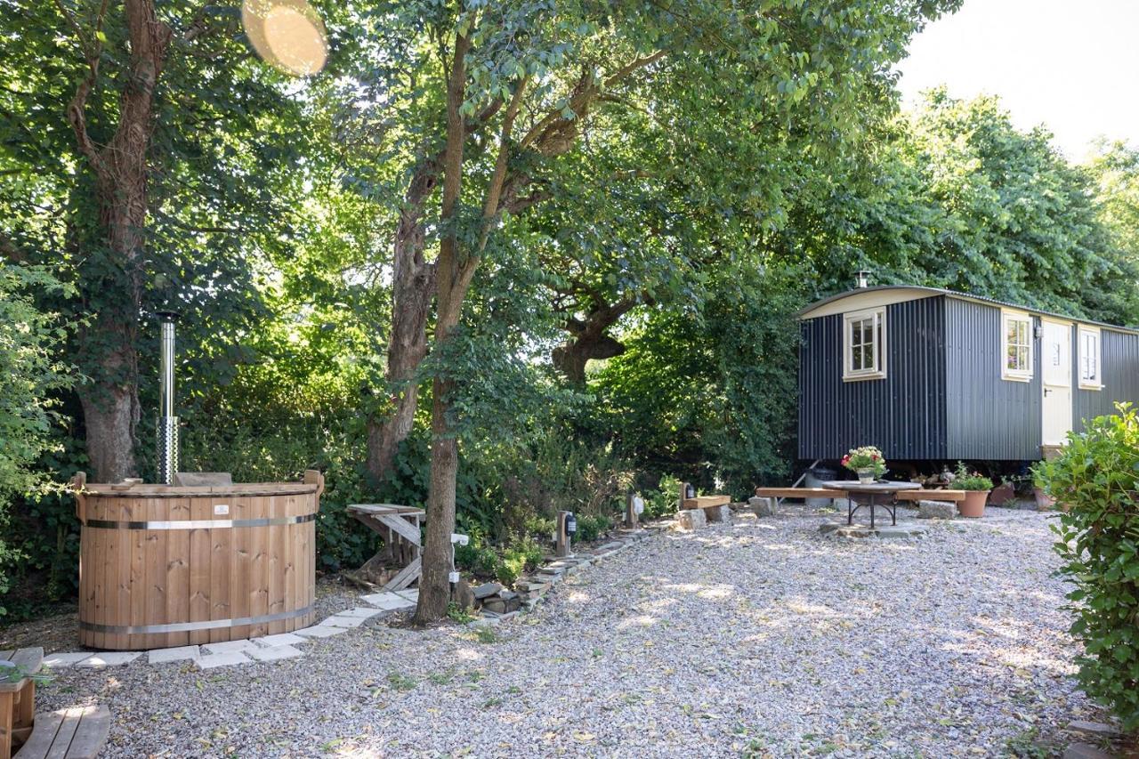 Bed and Breakfast Brookfields Wadebridge Esterno foto