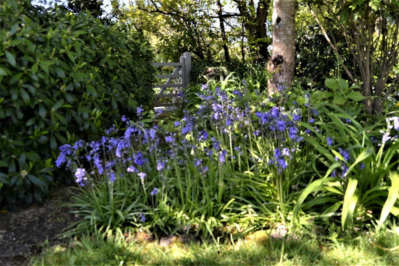 Bed and Breakfast Brookfields Wadebridge Esterno foto